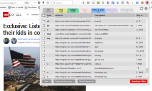 Download All Professional Firefox Extension - downloading files from a CNN article.