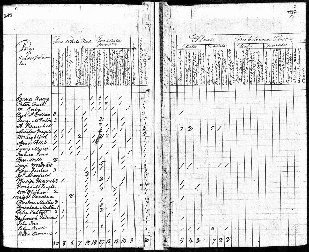 1820 US Federal Census example