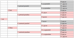 Stephen Morse One Step Ahnentalfel Calculator